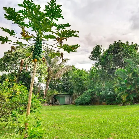Charming Historic Hilo House Minutes To Beach!